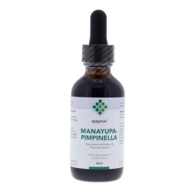 Epig manayupa-pimpinella burbur-pimpin