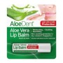 Aloe dent lip balm