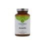 Boswellia