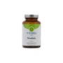 Rhodiola