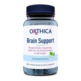 Brain support