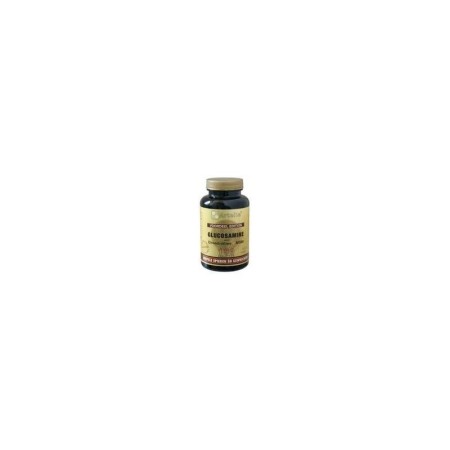 Artelle gluco-chondro-msm 100t