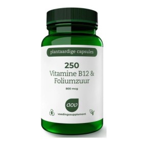 250 vitamine b12 & foliumzuur