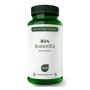 804 boswellia