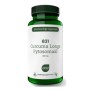 831 curcuma longa fytosomaal