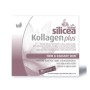 Original silicea kollagen plus