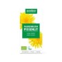 Paardenbloem extract 250mg bio
