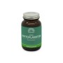Phytoplankton nannochloropsis