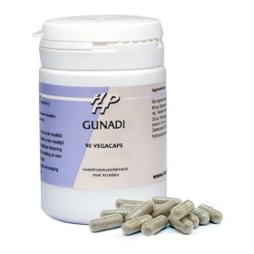Gunadi
