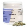 Ostayur