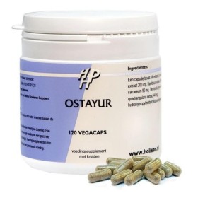Ostayur