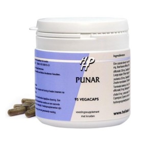 Punar