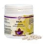 Salai