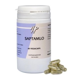 Saptamlo