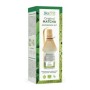 Matcha experience kit green