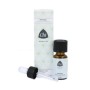 Patchouli, clt.