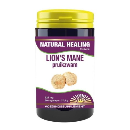 Lions mane (pruikzwam)