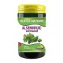 Alsemkruid wormwood 3000mg puur