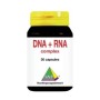 Dna rna complex