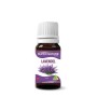 Lavendel