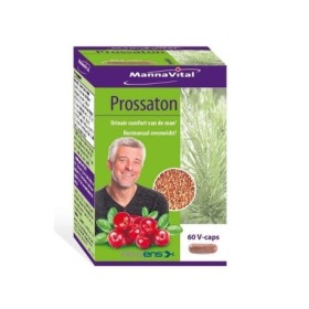 Prossaton