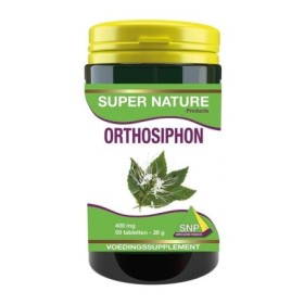 Orthosiphon