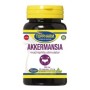 Akkermansia muciniphila stimulator 600mg