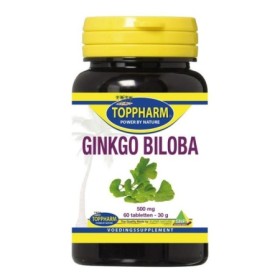 Ginkgo biloba 500 mg