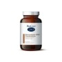 Glucosamine msm chondroitine