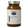 Bioacidophilus forte poeder (20 miljard)