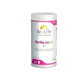 Perilla 500