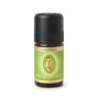 Eucalyptus radiata bio