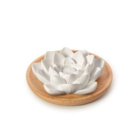 Geursteen lotusbloem