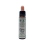 Bach bloesem cherry plum