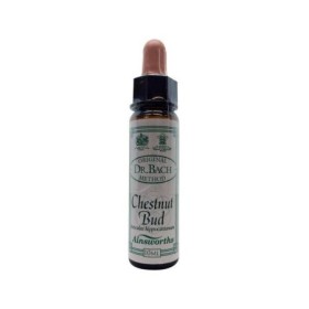 Bach bloesem chestnut bud