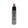 Bach bloesem chicory