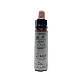 Bach bloesem chicory