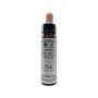 Bach bloesem oak