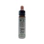 Bach bloesem wild rose