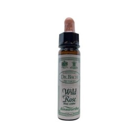Bach bloesem wild rose