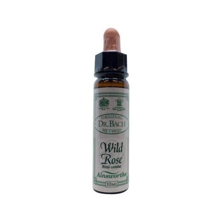 Bach bloesem wild rose