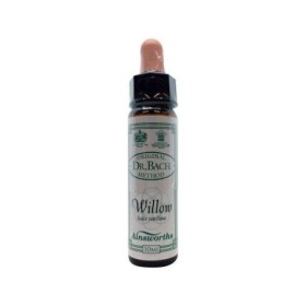 Bach bloesem willow