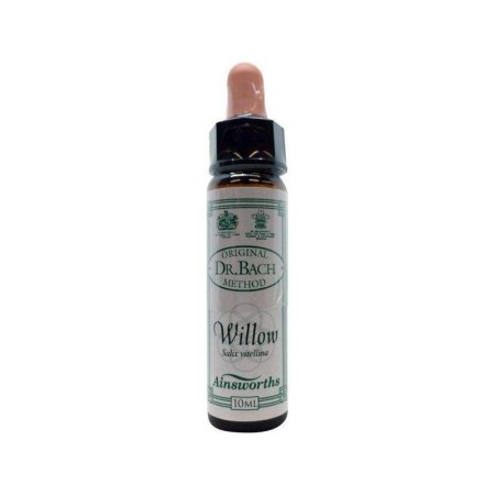 Bach bloesem willow