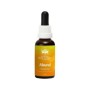Abund essence