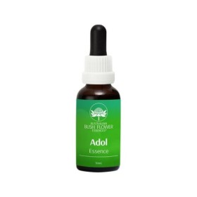 Adol essence