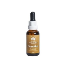 Transition essence