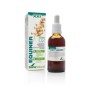 Composor 2 equiner xxi