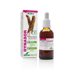 Composor 6 dynasor xxi