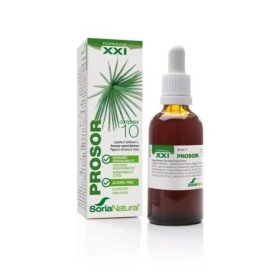 Composor 10 prosor xxi
