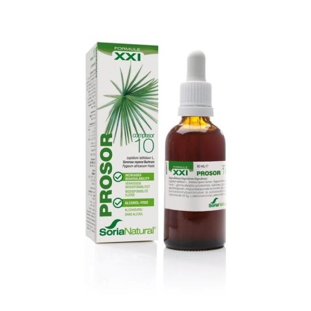 Composor 10 prosor xxi